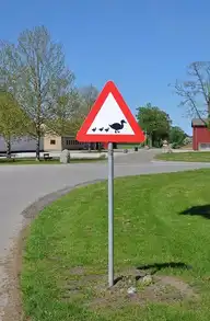 107951