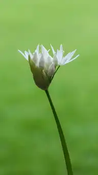 1079