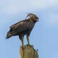 10835