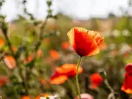 109179