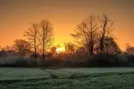 109226