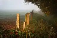 109398