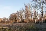 109462