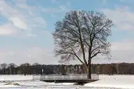 109848