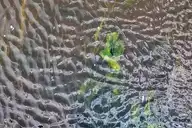 109981