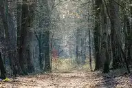 110067