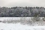 110139