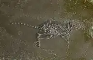 11037