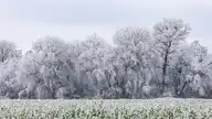 110585