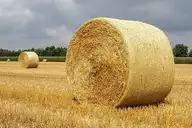 110593
