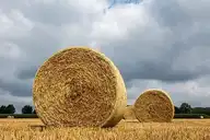 110595