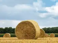 110598