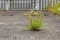 110808