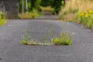 110920