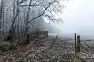 111219