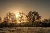 111225