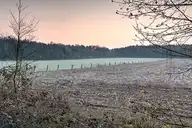 111239