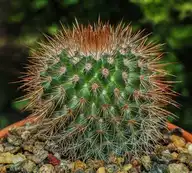 11149