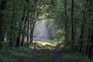 111871