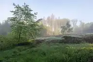 112035