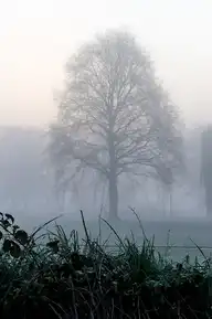 112415