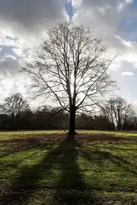 112597