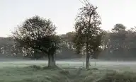 112612