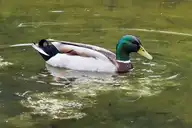 112620
