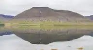 112977