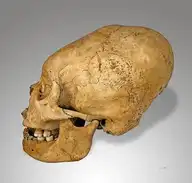 1135
