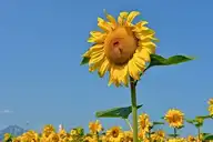 113813