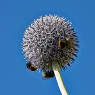 114184