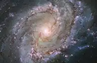 11457