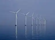11531