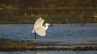 115379