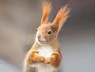 115604