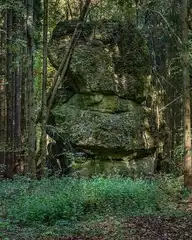 115630