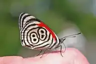 115682
