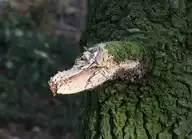 115688