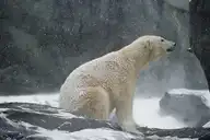 115836