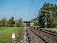 115961