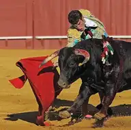 116061