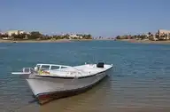 116093