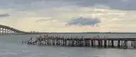 116202