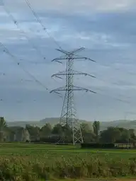 116324