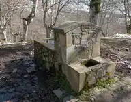 116519