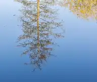 116678