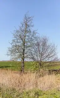 116679
