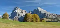 11681
