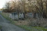 116834